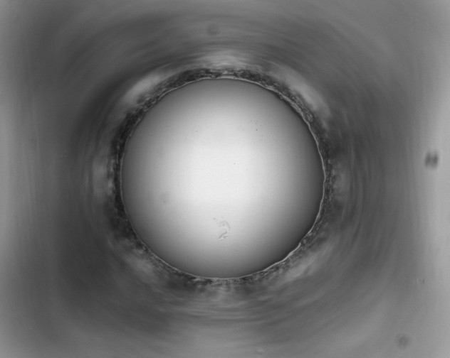 X0000103941016200809191412