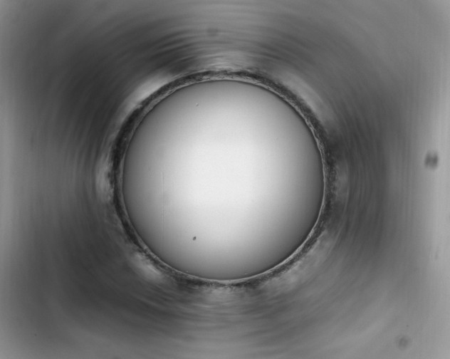 X0000103941018200809191412