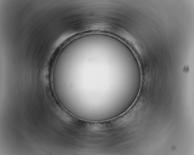 X0000103941019200809191412