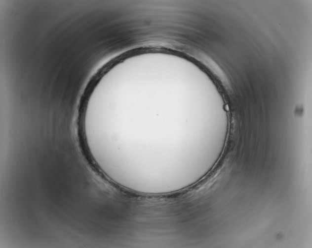 X0000103941020200809191412