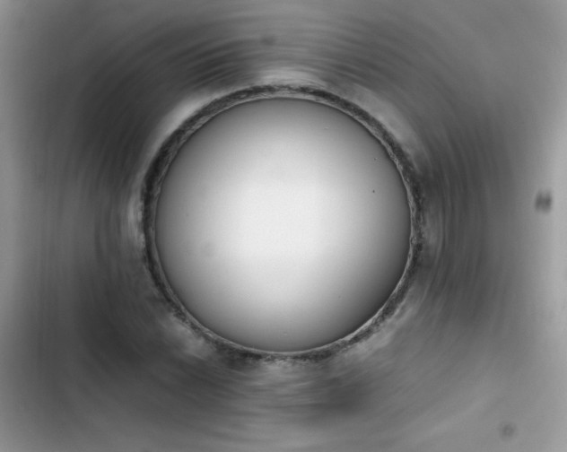 X0000103941022200809191412