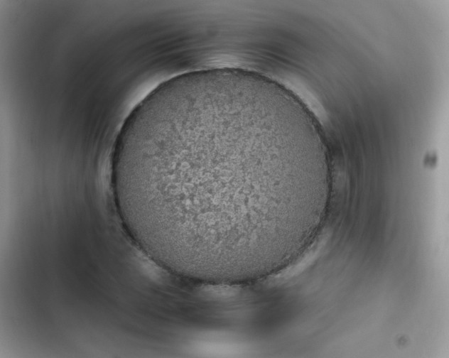 X0000103941023200809191412