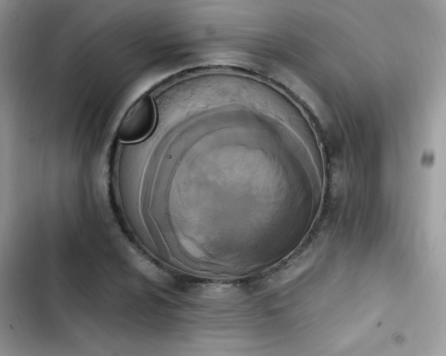 X0000103941024200809191412
