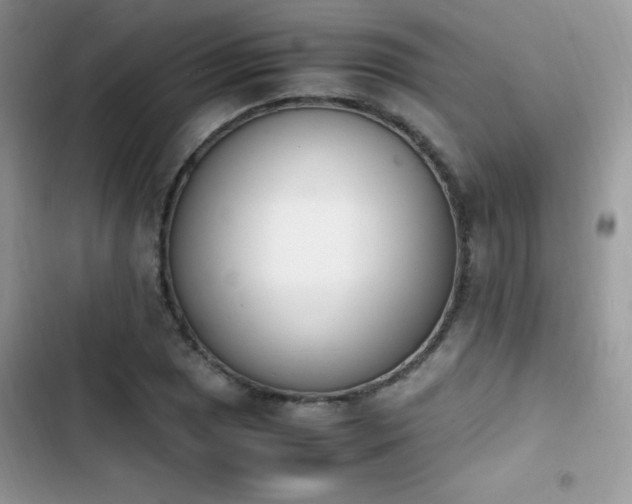 X0000103941025200809191412