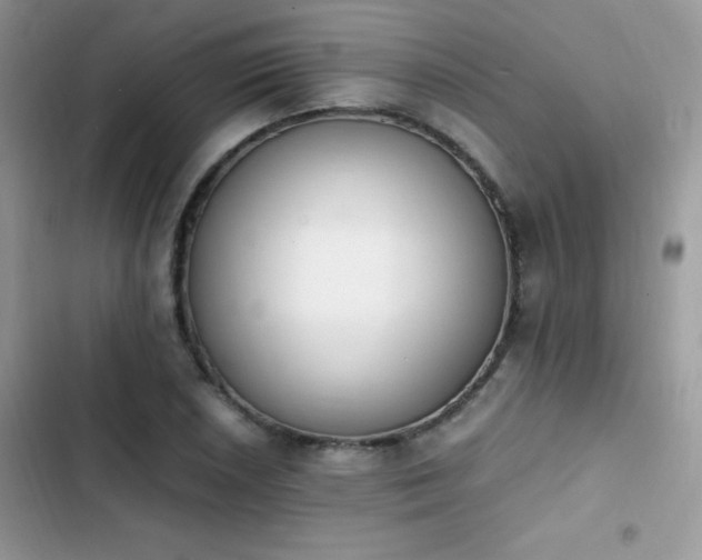 X0000103941026200809191412