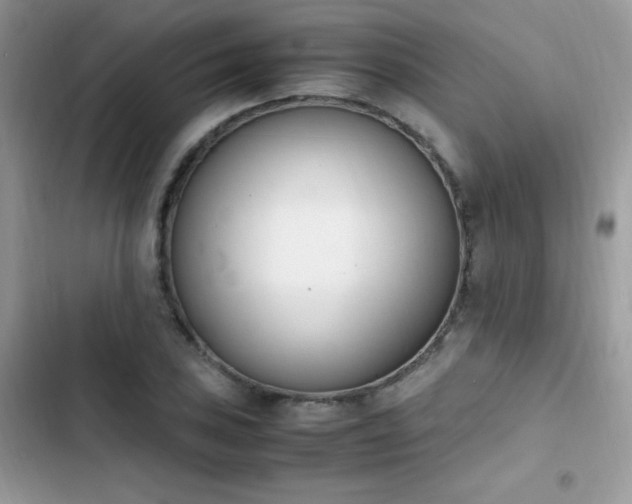 X0000103941027200809191412