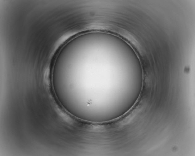 X0000103941030200809191412