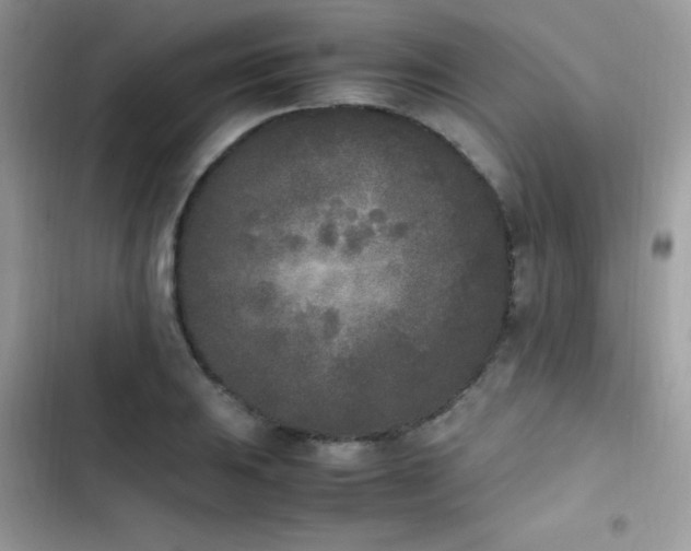 X0000103941031200809191412