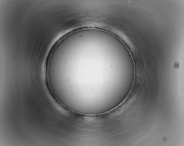 X0000103941032200809191412