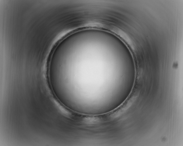 X0000103941037200809191412