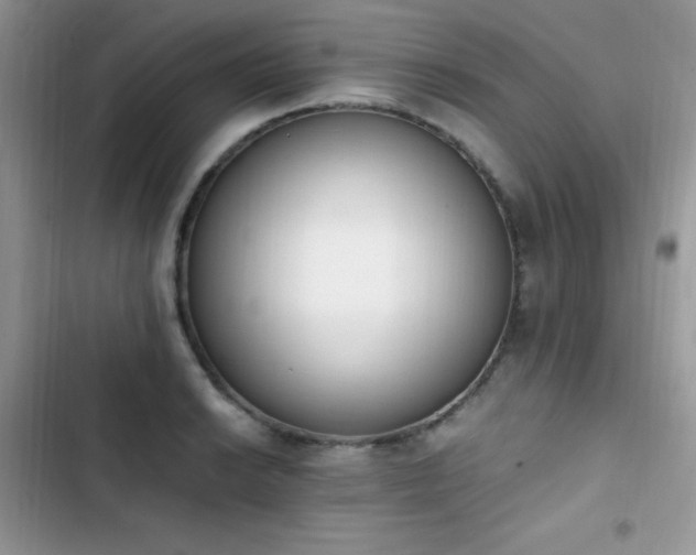 X0000103941038200809191412