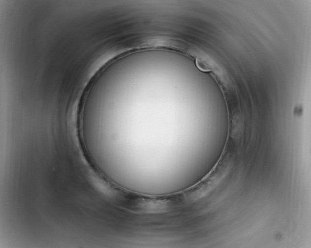 X0000103941039200809191412