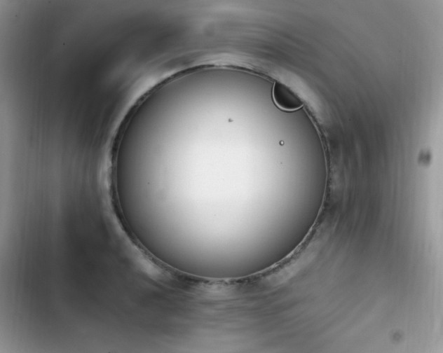 X0000103941040200809191412