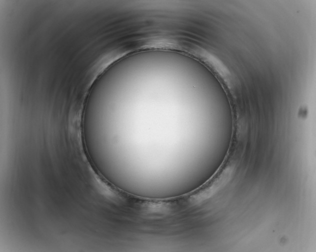 X0000103941041200809191412