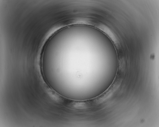 X0000103941043200809191412