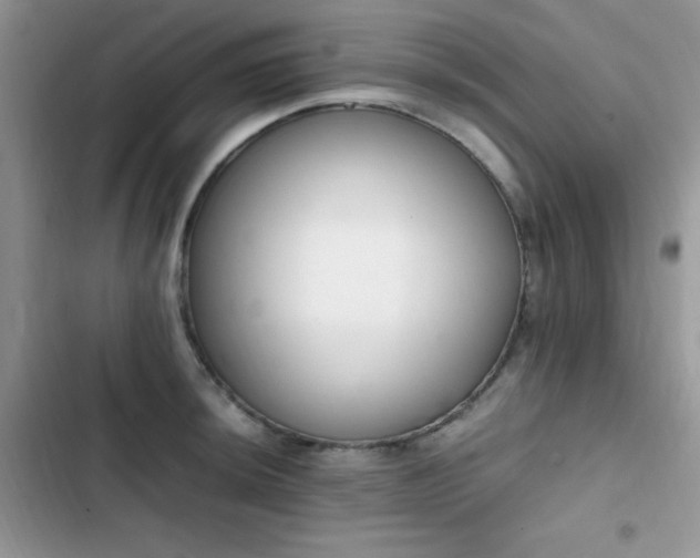 X0000103941044200809191412