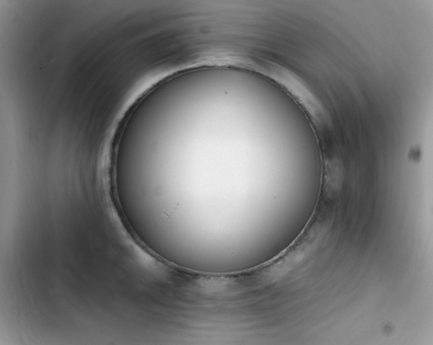 X0000103941046200809191412