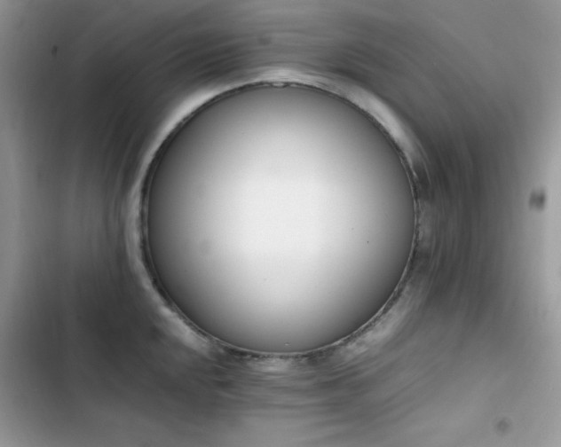 X0000103941048200809191412