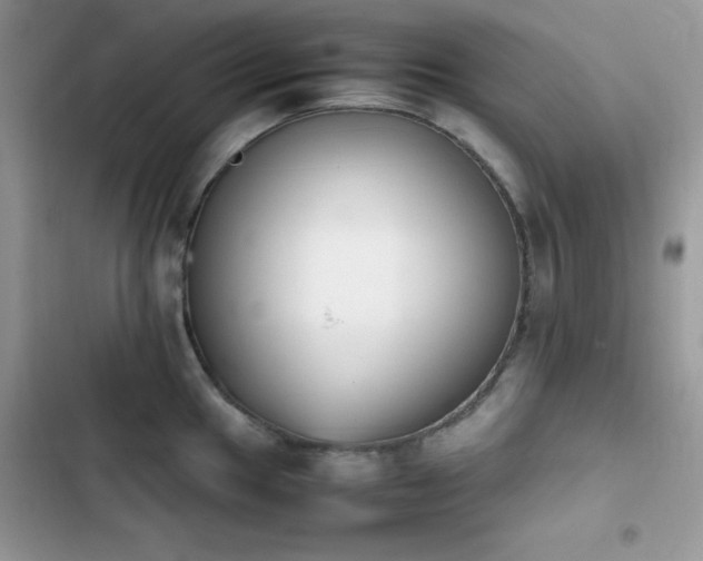 X0000103941049200809191412