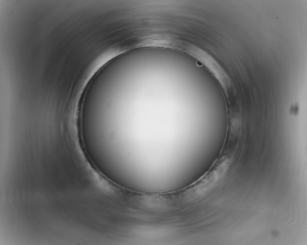 X0000103941050200809191412