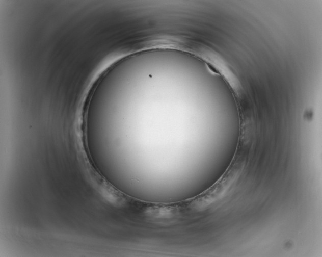 X0000103941051200809191412