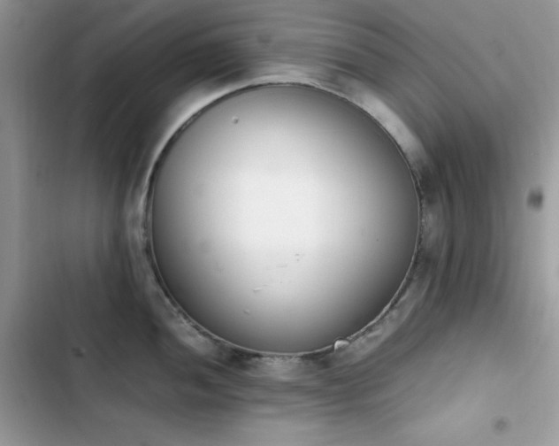 X0000103941052200809191412