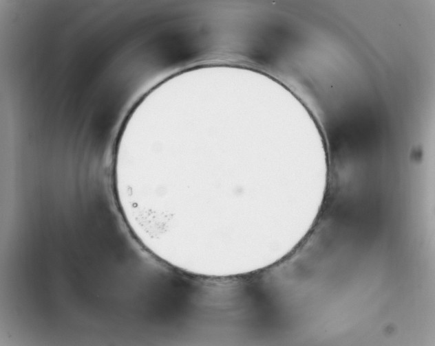X0000103941053200809191412