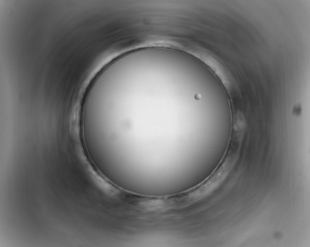 X0000103941054200809191412