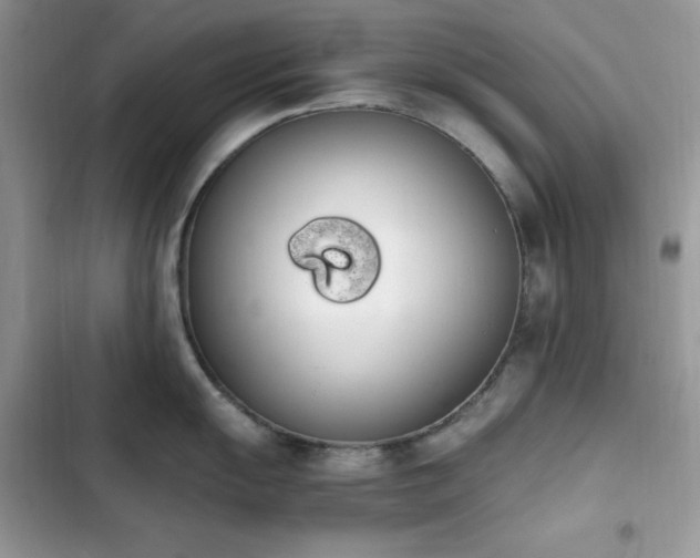 X0000103941055200809191412