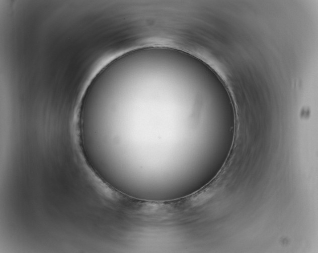 X0000103941056200809191412