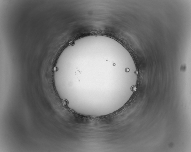 X0000103941057200809191412