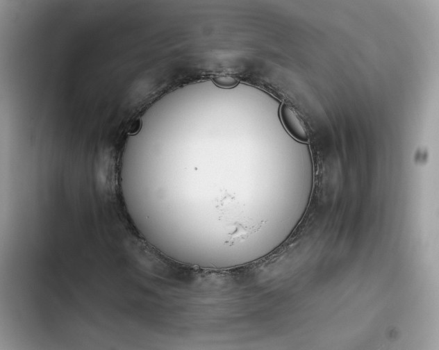 X0000103941058200809191412