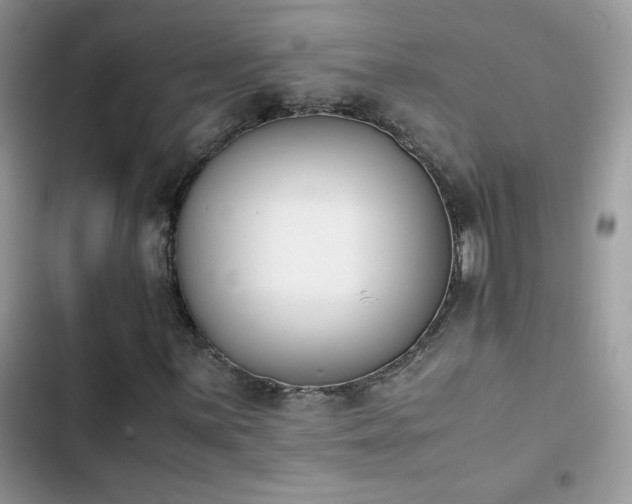 X0000103941059200809191412