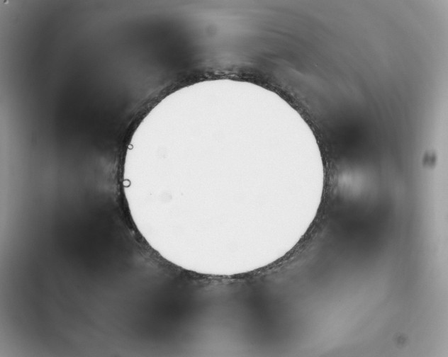 X0000103941060200809191412