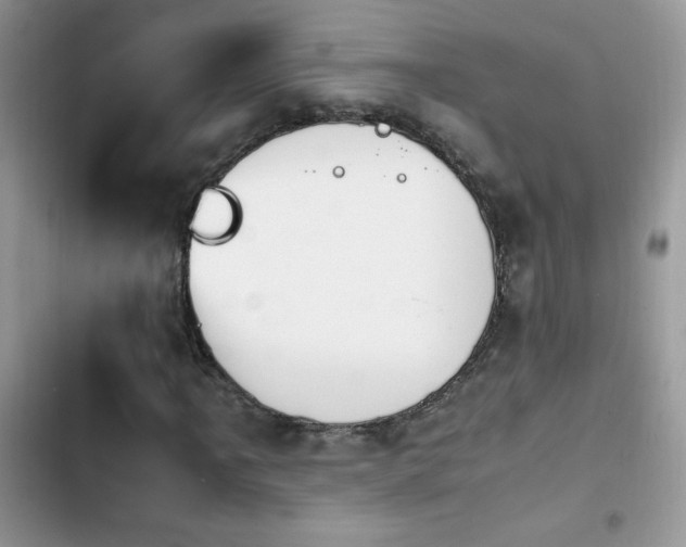 X0000103941061200809191412