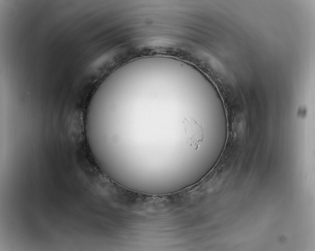 X0000103941062200809191412