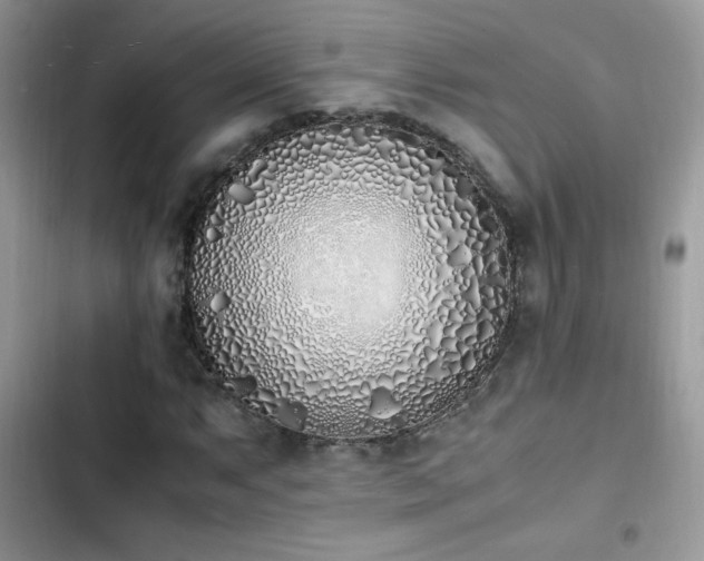 X0000103941063200809191412