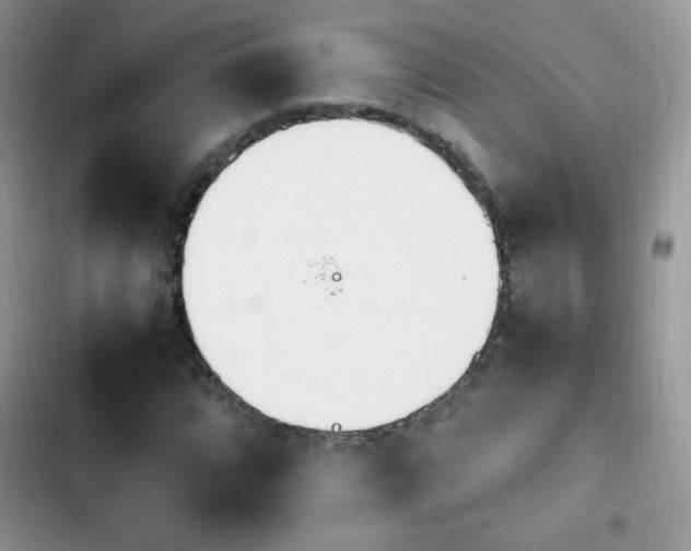 X0000103941064200809191412