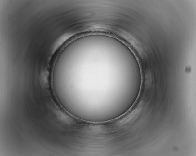 X0000103941066200809191412