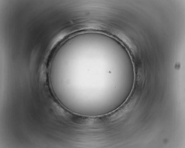 X0000103941067200809191412