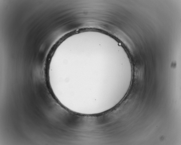 X0000103941068200809191412