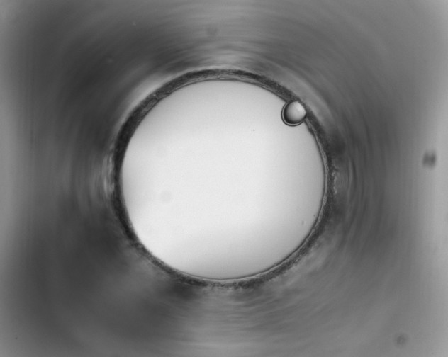 X0000103941069200809191412