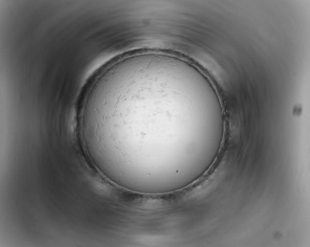 X0000103941070200809191412
