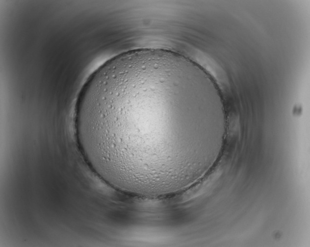 X0000103941071200809191412