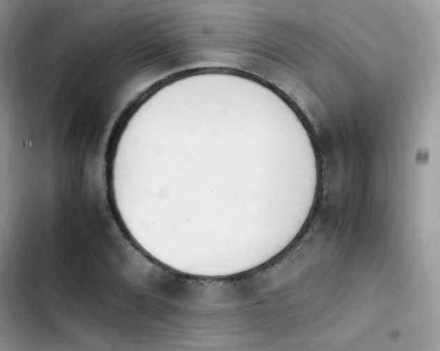 X0000103941072200809191412