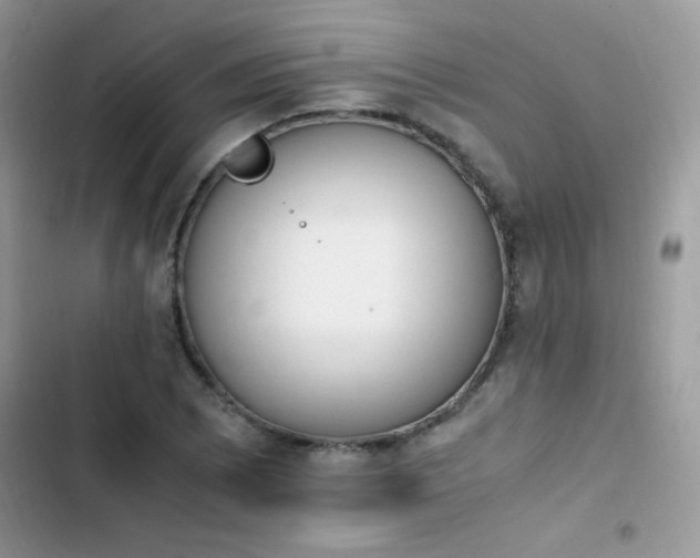 X0000103941073200809191412