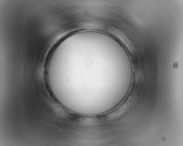 X0000103941074200809191412