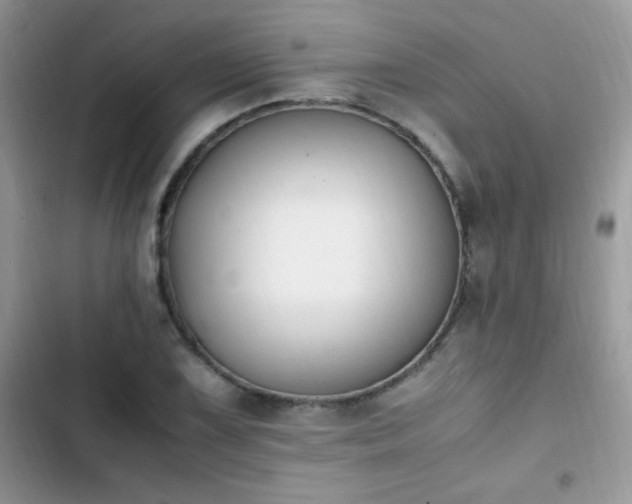 X0000103941075200809191412
