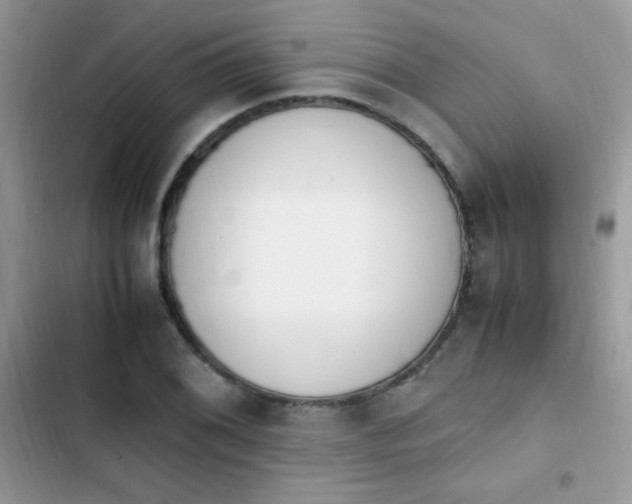 X0000103941076200809191412