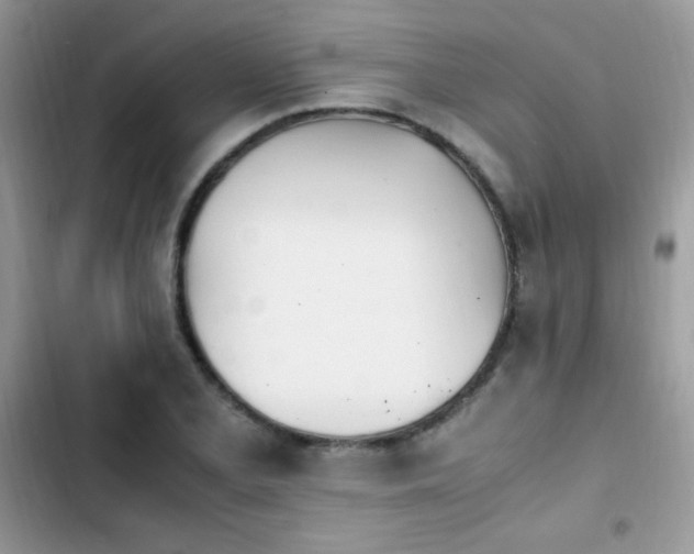 X0000103941077200809191412
